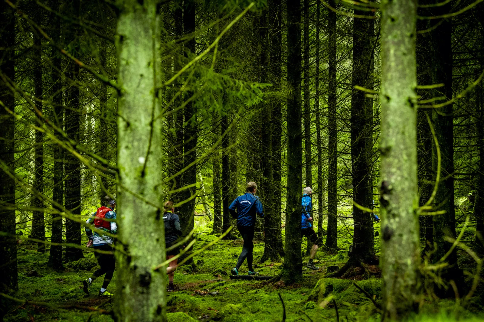 El trail running como complemento esencial para el entrenamiento de esquiadores en verano