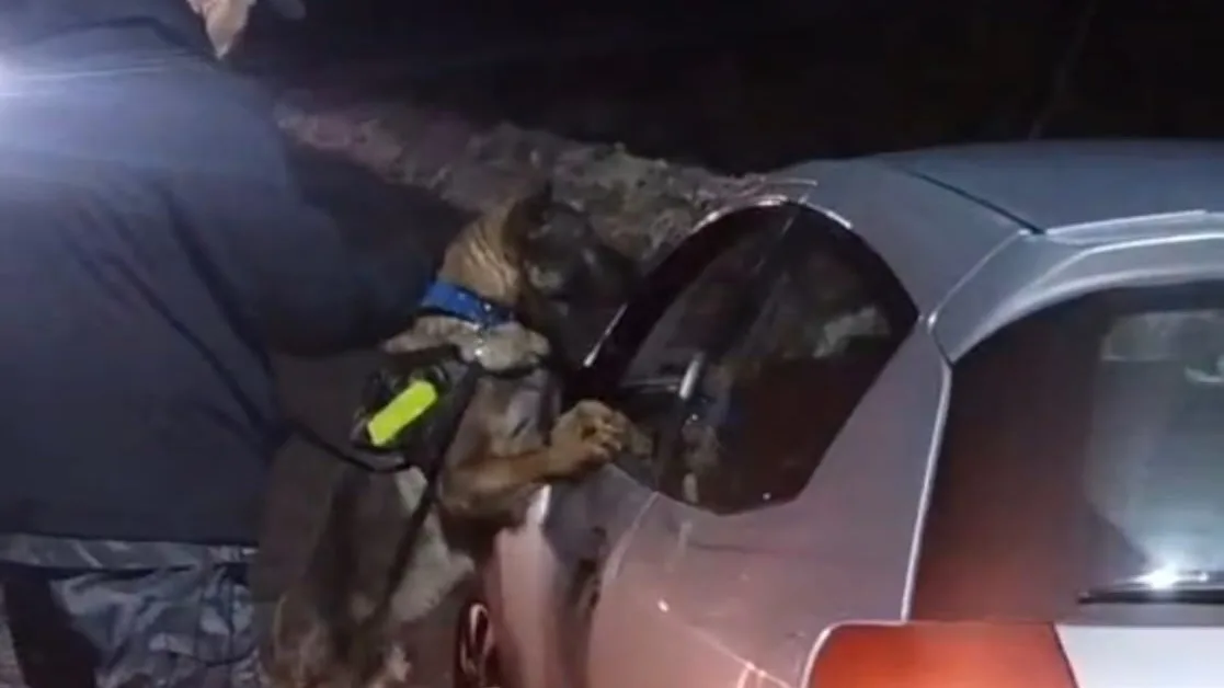 Perro detector encontró marihuana en un vehículo en el acceso a Cerro Catedral